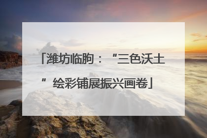 潍坊临朐：“三色沃土”绘彩铺展振兴画卷