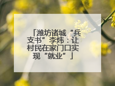 潍坊诸城“兵支书”李炜：让村民在家门口实现“就业”