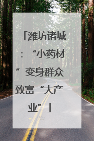 潍坊诸城：“小药材”变身群众致富“大产业”