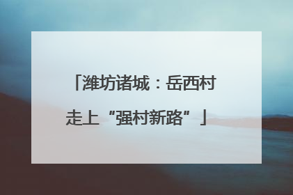 潍坊诸城：岳西村走上“强村新路”