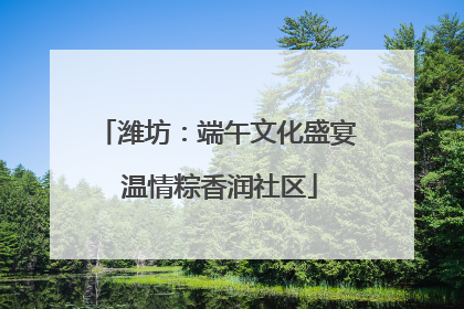 潍坊：端午文化盛宴 温情粽香润社区