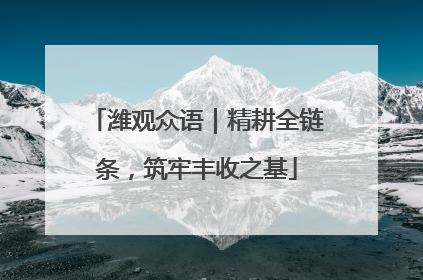 潍观众语｜精耕全链条，筑牢丰收之基