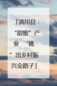 潢川县：“甜蜜”产业  “桃”出乡村振兴金路子