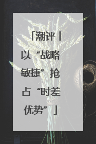 潮评丨以“战略敏捷”抢占“时差优势”