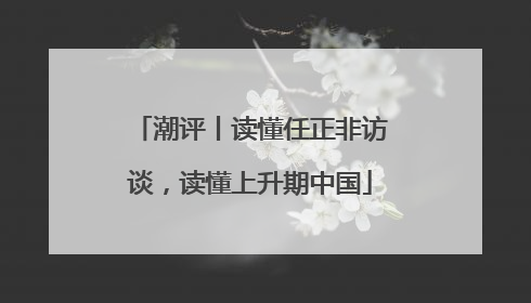 潮评丨读懂任正非访谈，读懂上升期中国