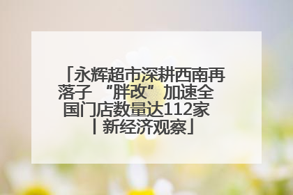 永辉超市深耕西南再落子 “胖改”加速全国门店数量达112家丨新经济观察