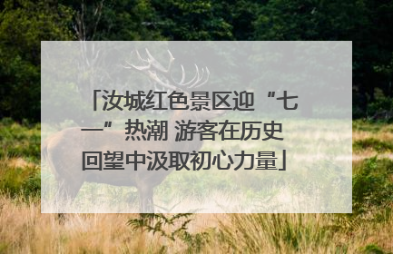 汝城红色景区迎“七一”热潮 游客在历史回望中汲取初心力量