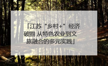 江苏“乡村+”经济破圈 从特色农业到文旅融合的多元实践