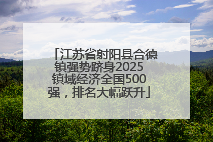 江苏省射阳县合德镇强势跻身2025镇域经济全国500强，排名大幅跃升