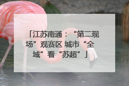 江苏南通：“第二现场”观赛区 城市“全域”看“苏超”