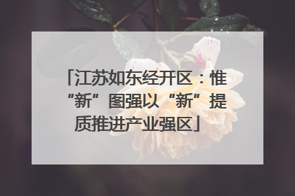 江苏如东经开区：惟“新”图强以“新”提质推进产业强区