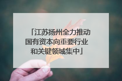 江苏扬州全力推动国有资本向重要行业和关键领域集中