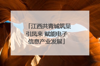 江西共青城筑巢引凤来 赋能电子信息产业发展