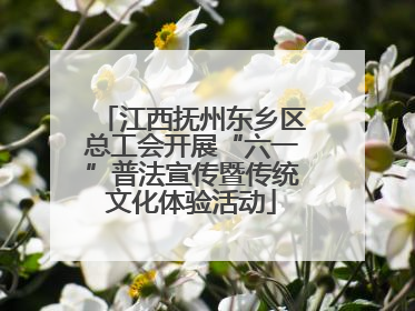 江西抚州东乡区总工会开展“六一”普法宣传暨传统文化体验活动
