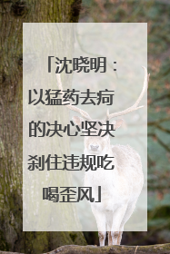 沈晓明：以猛药去疴的决心坚决刹住违规吃喝歪风