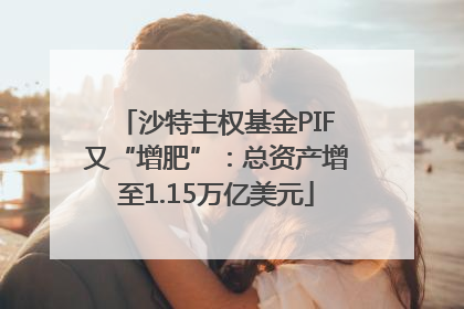 沙特主权基金PIF又“增肥”：总资产增至1.15万亿美元