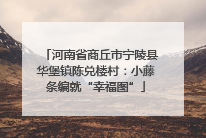 河南省商丘市宁陵县华堡镇陈兑楼村：小藤条编就“幸福图”