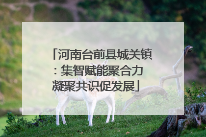 河南台前县城关镇：集智赋能聚合力 凝聚共识促发展