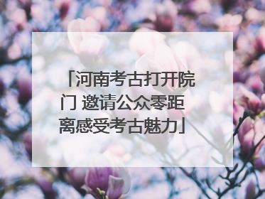 河南考古打开院门 邀请公众零距离感受考古魅力