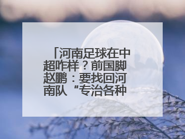 河南足球在中超咋样？前国脚赵鹏：要找回河南队“专治各种不服”的精神