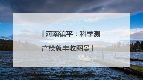 河南镇平：科学测产绘就丰收图景