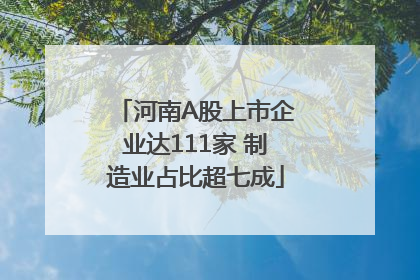 河南A股上市企业达111家 制造业占比超七成