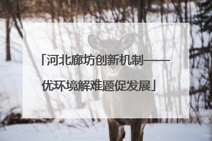 河北廊坊创新机制——优环境解难题促发展