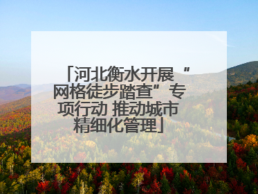 河北衡水开展“网格徒步踏查”专项行动 推动城市精细化管理