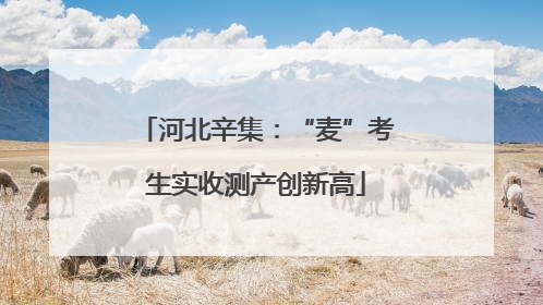 河北辛集：“麦”考生实收测产创新高