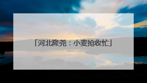 河北隆尧：小麦抢收忙