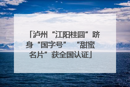 泸州“江阳桂圆”跻身“国字号” “甜蜜名片”获全国认证