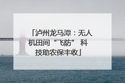 泸州龙马潭：无人机田间“飞防” 科技助农保丰收