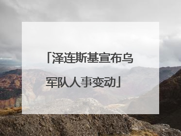 泽连斯基宣布乌军队人事变动