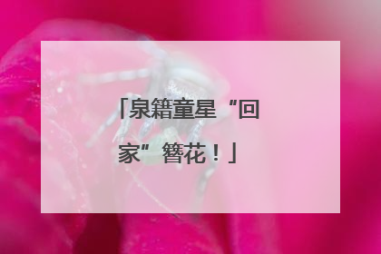 泉籍童星“回家”簪花！