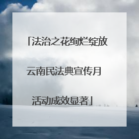 法治之花绚烂绽放 云南民法典宣传月活动成效显著