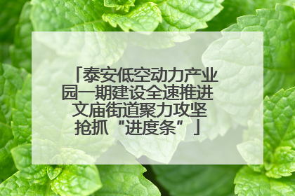 泰安低空动力产业园一期建设全速推进 文庙街道聚力攻坚抢抓“进度条”