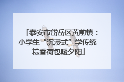 泰安市岱岳区黄前镇：小学生“沉浸式”学传统 粽香荷包暖夕阳