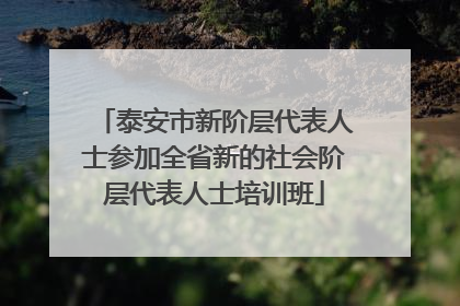 泰安市新阶层代表人士参加全省新的社会阶层代表人士培训班