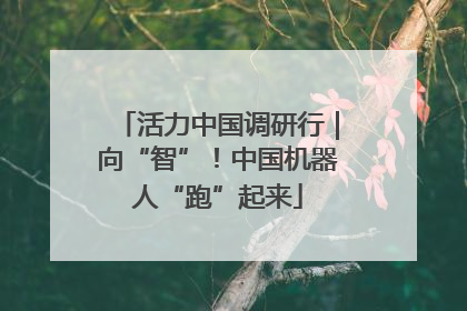活力中国调研行｜向“智”！中国机器人“跑”起来