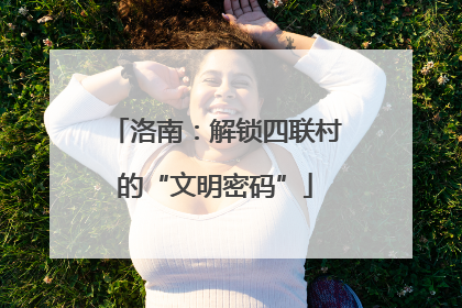洛南：解锁四联村的“文明密码”