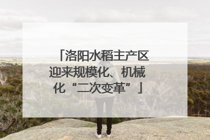 洛阳水稻主产区迎来规模化、机械化“二次变革”