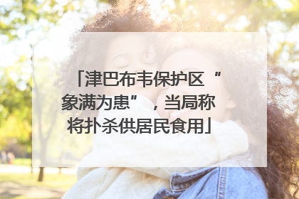津巴布韦保护区“象满为患”，当局称将扑杀供居民食用