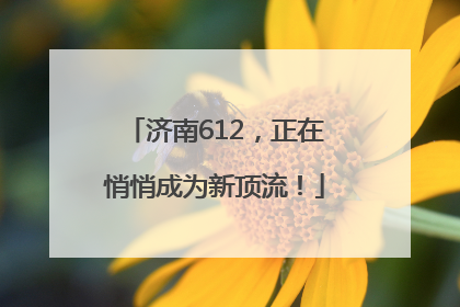 济南612，正在悄悄成为新顶流！