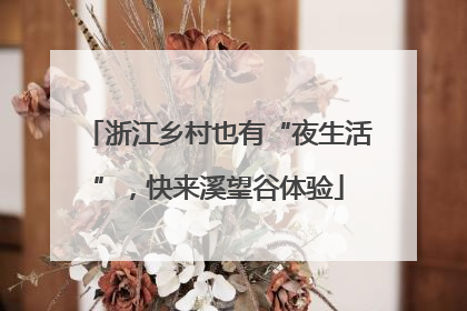 浙江乡村也有“夜生活”，快来溪望谷体验
