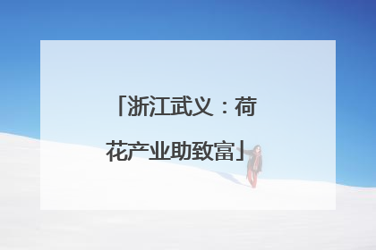 浙江武义：荷花产业助致富