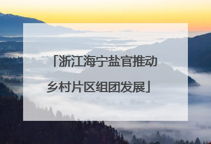 浙江海宁盐官推动乡村片区组团发展