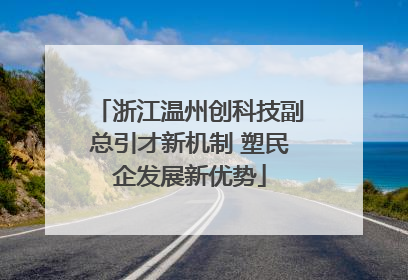 浙江温州创科技副总引才新机制 塑民企发展新优势