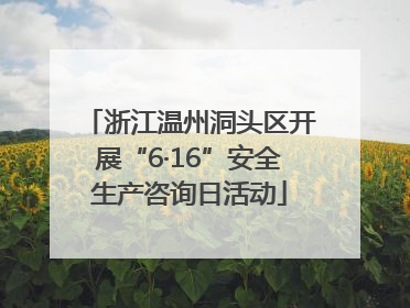 浙江温州洞头区开展“6·16”安全生产咨询日活动