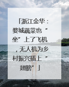 浙江金华：婺城蔬菜也“坐”上了飞机，无人机为乡村振兴插上“翅膀”