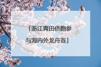 浙江青田侨胞参与海内外龙舟赛